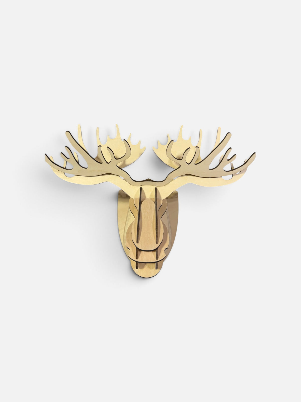 3D Wooden Moose Head Wall Art Kit